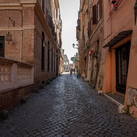 The Secret Loft Garden *